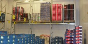 super456-palletstelling-windig-01.jpg